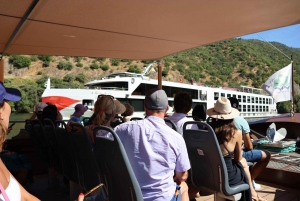 Porto: DOURO VALLEY Half-day Tour
