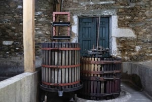Porto: DOURO VALLEY Half-day Tour
