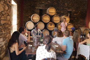 Porto: DOURO VALLEY Half-day Tour