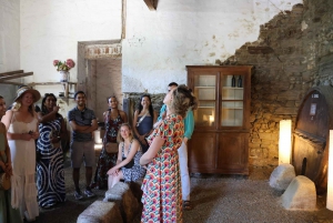 Porto: DOURO VALLEY Half-day Tour