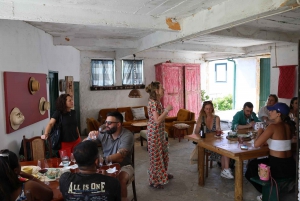 Porto: DOURO VALLEY Half-day Tour
