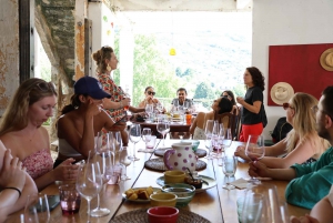 Porto: DOURO VALLEY Half-day Tour