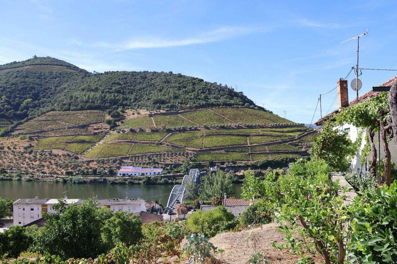 Douro-dalen: Halvdag, med 1 vingård og 1 times båttur