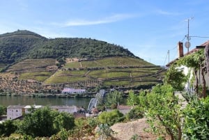 Dourodalen: Halvdag, med 1 vingård och 1 timmes båttur