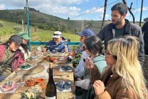 Dourodalen: Halvdag, med 1 vingård och 1 timmes båttur