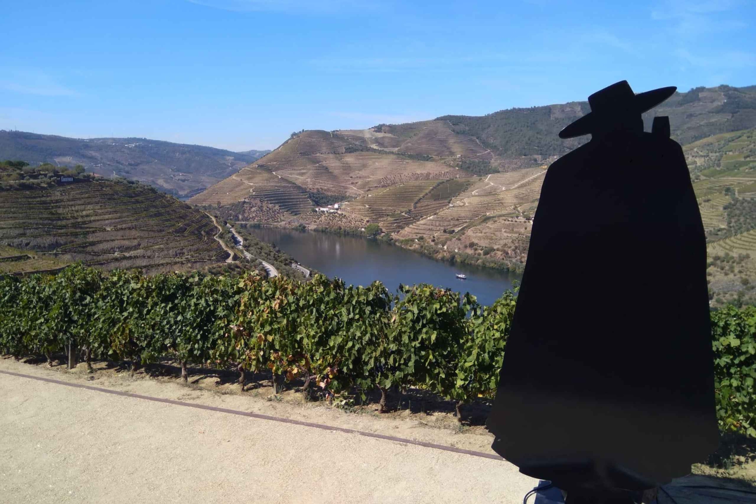 Douro-dalen og Amarante - fra Porto, Braga eller Guimarães