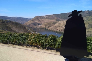 Douro-dalen og Amarante - fra Porto, Braga eller Guimarães