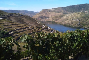 Douro-dalen og Amarante - fra Porto, Braga eller Guimarães