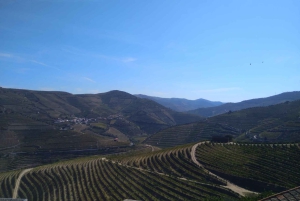 Douro-dalen og Amarante - fra Porto, Braga eller Guimarães