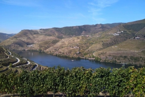 Douro-dalen og Amarante - fra Porto, Braga eller Guimarães