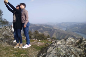 Douro-dalen og Amarante - fra Porto, Braga eller Guimarães