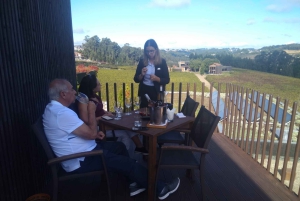 Douro-dalen og Amarante - fra Porto, Braga eller Guimarães