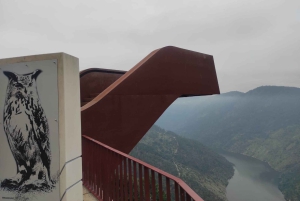 Douro-dalen og Amarante - fra Porto, Braga eller Guimarães