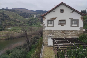 Douro-dalen og Amarante - fra Porto, Braga eller Guimarães