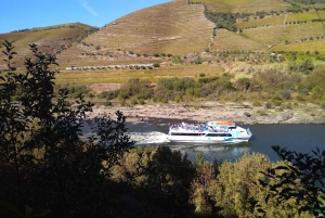 Douro-dalen og Amarante - fra Porto, Braga eller Guimarães