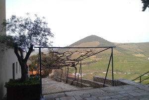 Douro-dalen og Amarante - fra Porto, Braga eller Guimarães