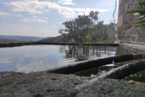 Douro-dalen og Amarante - fra Porto, Braga eller Guimarães
