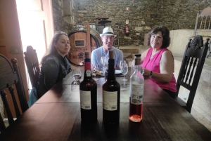 Douro-dalen og Amarante - fra Porto, Braga eller Guimarães