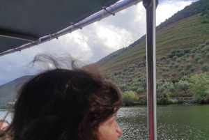 Douro-dalen og Amarante - fra Porto, Braga eller Guimarães