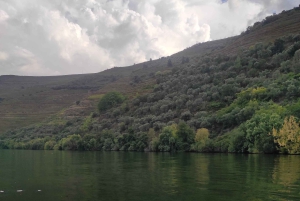 Douro-dalen og Amarante - fra Porto, Braga eller Guimarães