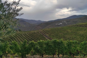 Douro-dalen og Amarante - fra Porto, Braga eller Guimarães