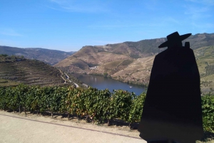 Dourodalen & Amarante - från Porto, Braga eller Guimarães