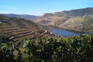 Dourodalen & Amarante - från Porto, Braga eller Guimarães