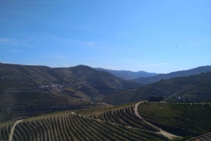 Dourodalen & Amarante - från Porto, Braga eller Guimarães