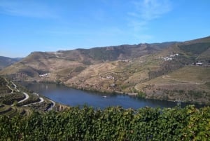 Dourodalen & Amarante - från Porto, Braga eller Guimarães