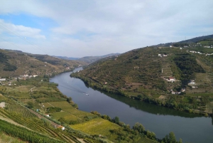 Dourodalen & Amarante - från Porto, Braga eller Guimarães