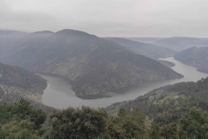 Dourodalen & Amarante - från Porto, Braga eller Guimarães