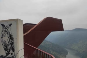 Dourodalen & Amarante - från Porto, Braga eller Guimarães