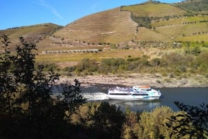 Dourodalen & Amarante - från Porto, Braga eller Guimarães