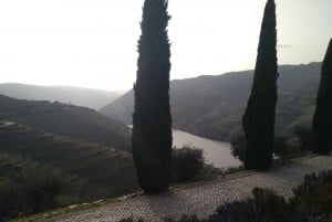 Dourodalen & Amarante - från Porto, Braga eller Guimarães