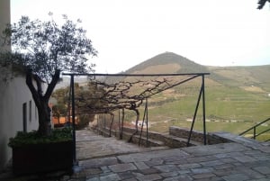 Dourodalen & Amarante - från Porto, Braga eller Guimarães