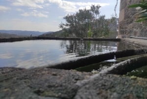 Dourodalen & Amarante - från Porto, Braga eller Guimarães