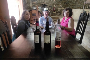 Dourodalen & Amarante - från Porto, Braga eller Guimarães