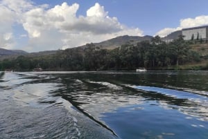 Dourodalen & Amarante - från Porto, Braga eller Guimarães