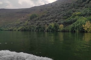 Dourodalen & Amarante - från Porto, Braga eller Guimarães