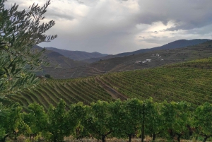 Dourodalen & Amarante - från Porto, Braga eller Guimarães