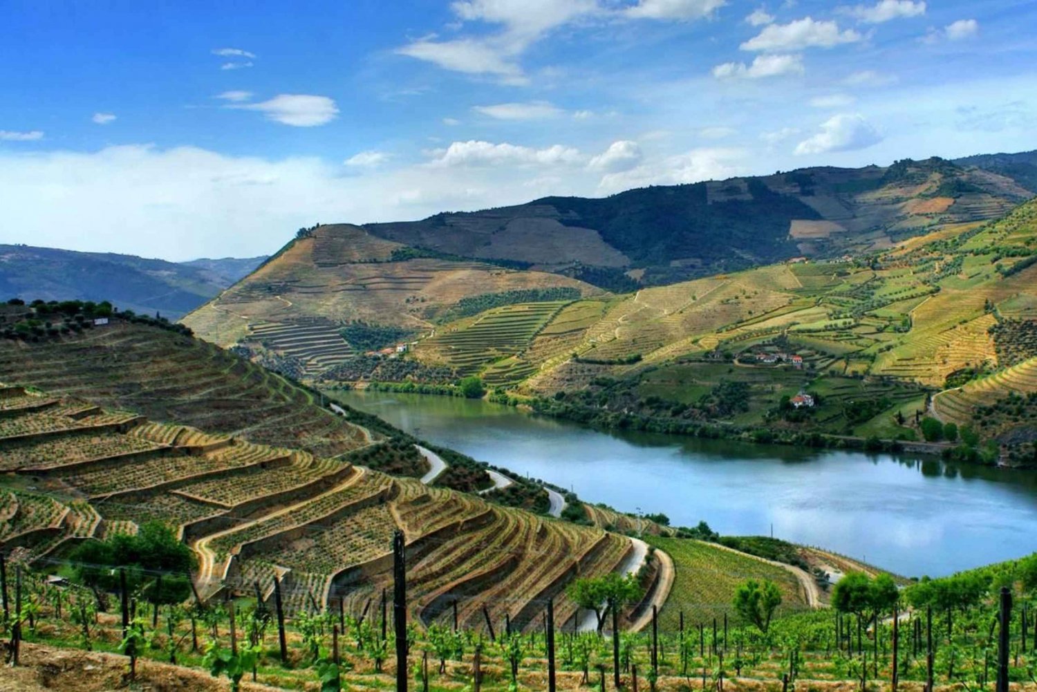 Douron laakso: Koko päivän yksityinen kierros Portosta