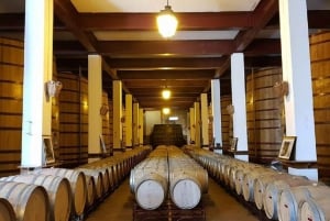 Douron laakso: Koko päivän yksityinen kierros Portosta