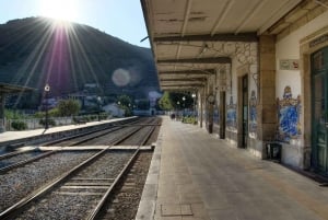 Douron laakso: Koko päivän yksityinen kierros Portosta