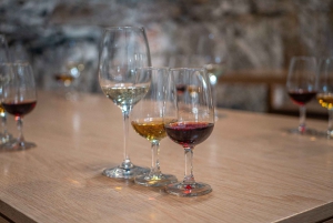 Porto: Privat tur i Dourodalen, smagninger, krydstogt og frokost