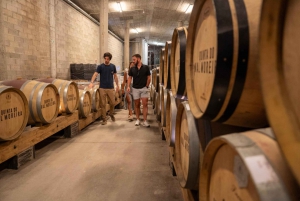 Porto: Privat tur i Dourodalen, smagninger, krydstogt og frokost