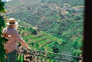 Porto: Privat tur i Dourodalen, smagninger, krydstogt og frokost