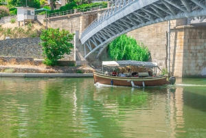 Porto: Privat tur i Dourodalen, smagninger, krydstogt og frokost