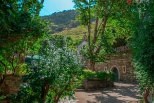 Porto: Privat tur i Dourodalen, smagninger, krydstogt og frokost