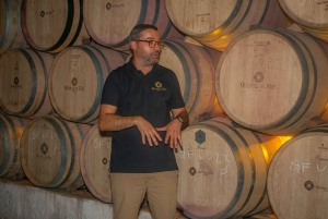 Porto: Privat tur i Dourodalen, smagninger, krydstogt og frokost