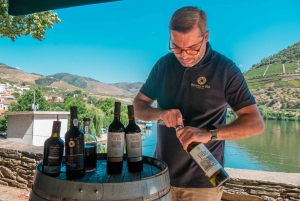 Porto: Privat tur i Dourodalen, smagninger, krydstogt og frokost